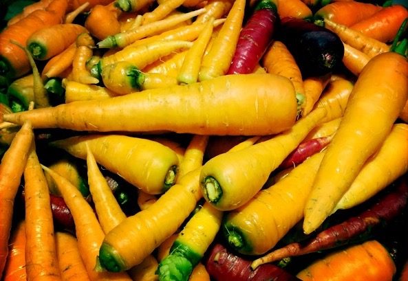 Learn How to Grow Carrots